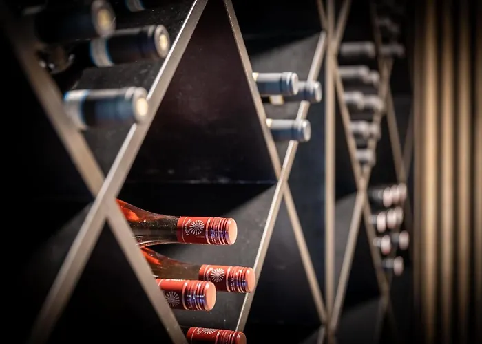 The Art And Apartment