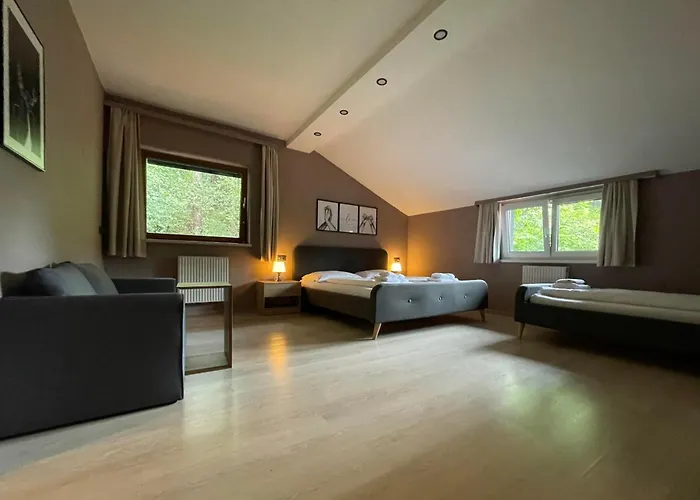 The Art And Apartment